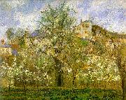 Camille Pissaro Kitchen Garden with Trees in Flower, Pontoise USA oil painting reproduction